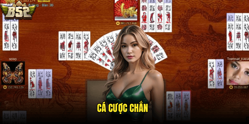 Cá cược Chắn